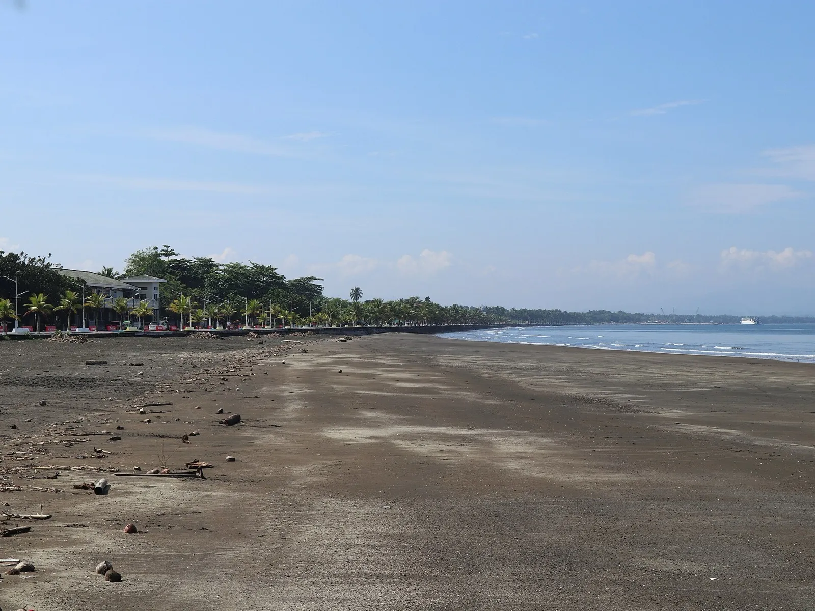 A wide dark-sand beach along Dipolog Boulevard, lined with palm trees and streetlights under a clear sky